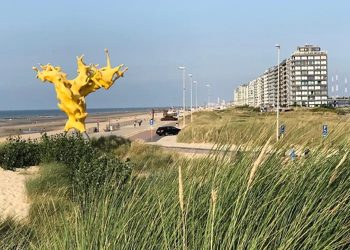 With A View * Middelkerke